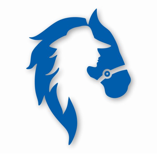 Horse Cowgirl Western Pony - Vinyl Decal Sticker - CHOOSE Size & Color