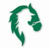 Horse Cowgirl Western Pony - Vinyl Decal Sticker - CHOOSE Size & Color