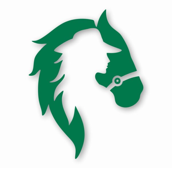 Horse Cowgirl Western Pony - Vinyl Decal Sticker - CHOOSE Size & Color