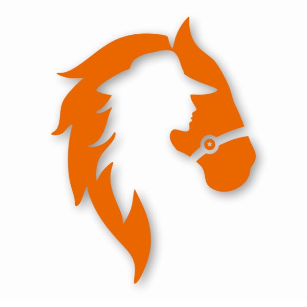 Horse Cowgirl Western Pony - Vinyl Decal Sticker - CHOOSE Size & Color
