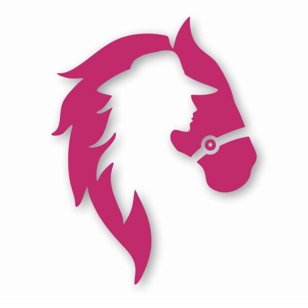 Horse Cowgirl Western Pony - Vinyl Decal Sticker - CHOOSE Size & Color