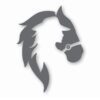 Horse Cowgirl Western Pony - Vinyl Decal Sticker - CHOOSE Size & Color