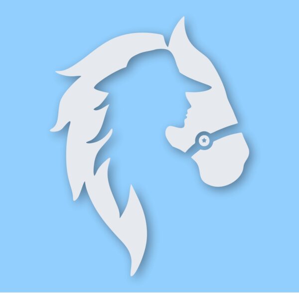 Horse Cowgirl Western Pony - Vinyl Decal Sticker - CHOOSE Size & Color