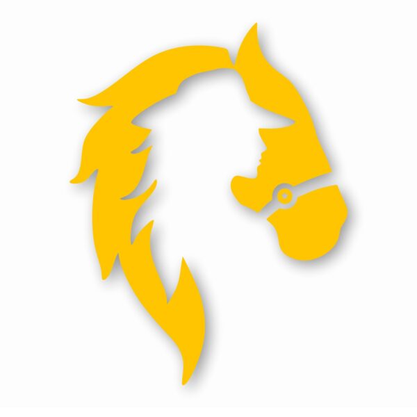 Horse Cowgirl Western Pony - Vinyl Decal Sticker - CHOOSE Size & Color