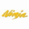 Ninja - Vinyl Decal Sticker - CHOOSE Size & Color