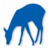 Deer Doe Fawn - Vinyl Decal Sticker - CHOOSE Size & Color