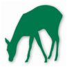 Deer Doe Fawn - Vinyl Decal Sticker - CHOOSE Size & Color