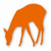 Deer Doe Fawn - Vinyl Decal Sticker - CHOOSE Size & Color
