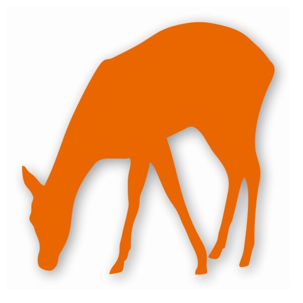 Deer Doe Fawn - Vinyl Decal Sticker - CHOOSE Size & Color