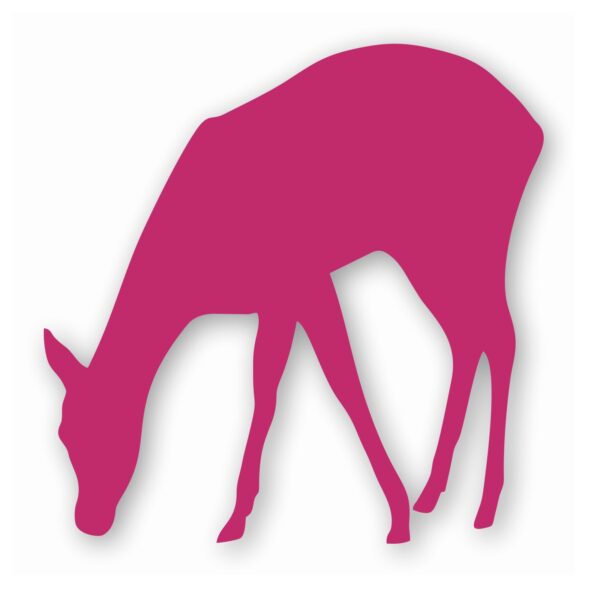 Deer Doe Fawn - Vinyl Decal Sticker - CHOOSE Size & Color