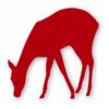 Deer Doe Fawn - Vinyl Decal Sticker - CHOOSE Size & Color