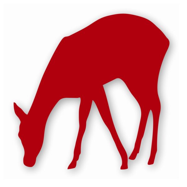 Deer Doe Fawn - Vinyl Decal Sticker - CHOOSE Size & Color