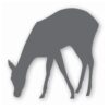 Deer Doe Fawn - Vinyl Decal Sticker - CHOOSE Size & Color