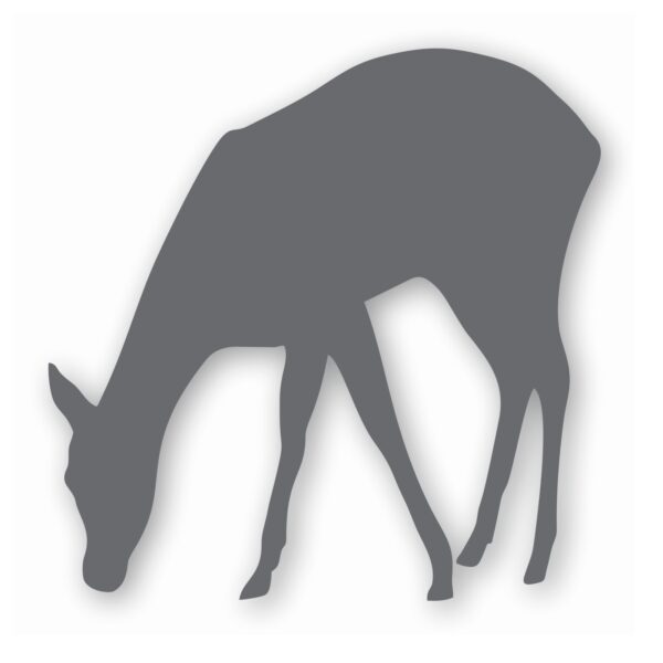 Deer Doe Fawn - Vinyl Decal Sticker - CHOOSE Size & Color