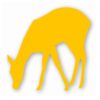 Deer Doe Fawn - Vinyl Decal Sticker - CHOOSE Size & Color