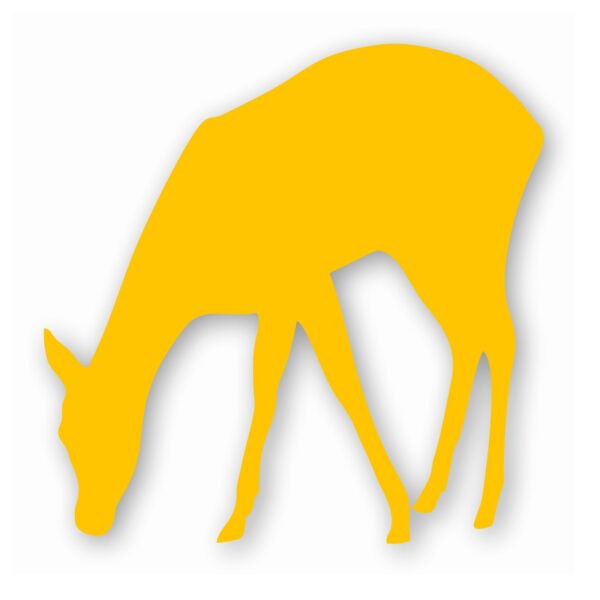 Deer Doe Fawn - Vinyl Decal Sticker - CHOOSE Size & Color