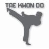 Tae Kwon Do Taekwondo Martial Arts - Vinyl Decal Sticker - CHOOSE Size & Color