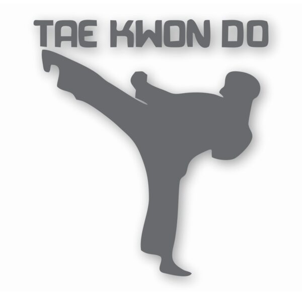 Tae Kwon Do Taekwondo Martial Arts - Vinyl Decal Sticker - CHOOSE Size & Color