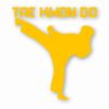 Tae Kwon Do Taekwondo Martial Arts - Vinyl Decal Sticker - CHOOSE Size & Color
