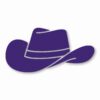 Cowboy Hat Western Rodeo Farm Cowgirl- Vinyl Decal Sticker - CHOOSE Size & Color