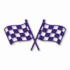 Checkered Racing Flag Finish Line - Vinyl Decal Sticker - CHOOSE Size & Color