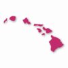 Hawaiian Islands Hawaii - Vinyl Decal Sticker - CHOOSE Size & Color