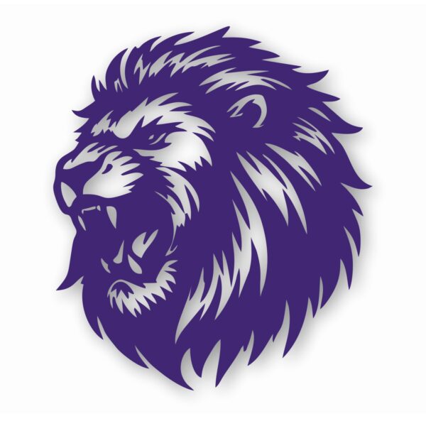 LION Silloutte Detailed Head - Vinyl Decal Sticker - CHOOSE Size & Color