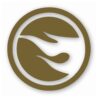 1143-GoldMetallic.jpg TH Treasure Hunt Logo Hotwheels Right- Vinyl Decal Sticker - CHOOSE Size & Color