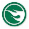 1143-Green.jpg TH Treasure Hunt Logo Hotwheels Right- Vinyl Decal Sticker - CHOOSE Size & Color