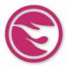 1143-Pink.jpg TH Treasure Hunt Logo Hotwheels Right- Vinyl Decal Sticker - CHOOSE Size & Color