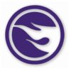 1143-Purple.jpg TH Treasure Hunt Logo Hotwheels Right- Vinyl Decal Sticker - CHOOSE Size & Color