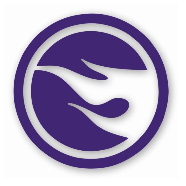 1143-Purple.jpg TH Treasure Hunt Logo Hotwheels Right- Vinyl Decal Sticker - CHOOSE Size & Color