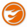 TH Treasure Hunt Logo Hotwheels Left - Vinyl Decal Sticker - CHOOSE Size & Color
