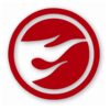 TH Treasure Hunt Logo Hotwheels Left - Vinyl Decal Sticker - CHOOSE Size & Color