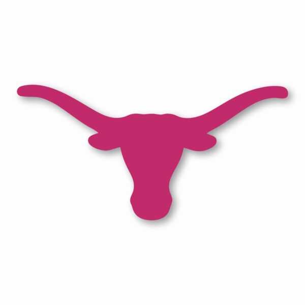 TEXAS LONGHORN - Vinyl Decal Sticker - CHOOSE Size & Color