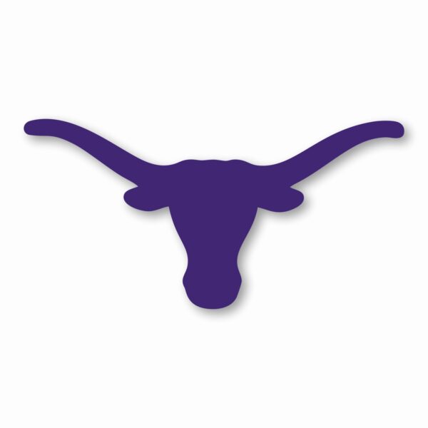 TEXAS LONGHORN - Vinyl Decal Sticker - CHOOSE Size & Color