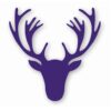 Deer Antler Head Silhouette - Vinyl Decal Sticker - CHOOSE Size & Color