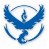 Pokemon Go Team Valor Logo - Vinyl Decal Sticker - CHOOSE Size & Color