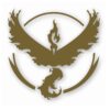 Pokemon Go Team Valor Logo - Vinyl Decal Sticker - CHOOSE Size & Color