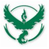 Pokemon Go Team Valor Logo - Vinyl Decal Sticker - CHOOSE Size & Color