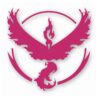 Pokemon Go Team Valor Logo - Vinyl Decal Sticker - CHOOSE Size & Color