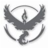 Pokemon Go Team Valor Logo - Vinyl Decal Sticker - CHOOSE Size & Color
