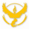 Pokemon Go Team Valor Logo - Vinyl Decal Sticker - CHOOSE Size & Color