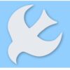 Dove Bird Peace Love - Vinyl Decal Sticker - CHOOSE Size & Color