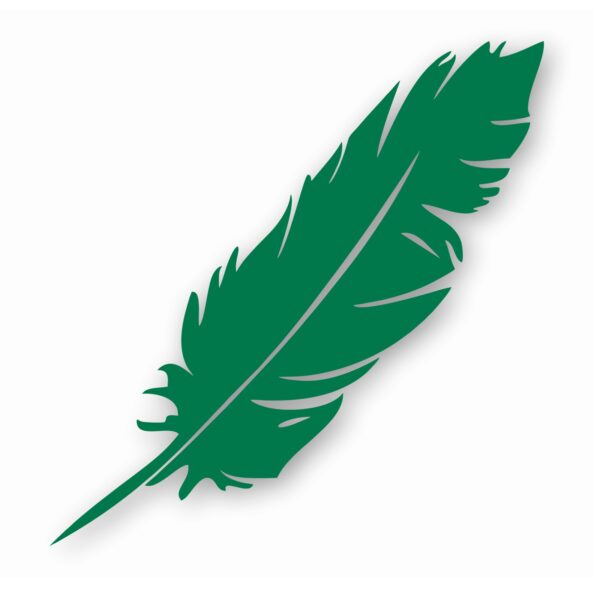 Feather Tribal Nursery Baby Bird - Vinyl Decal Sticker - CHOOSE Size & Color
