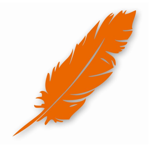 Feather Tribal Nursery Baby Bird - Vinyl Decal Sticker - CHOOSE Size & Color