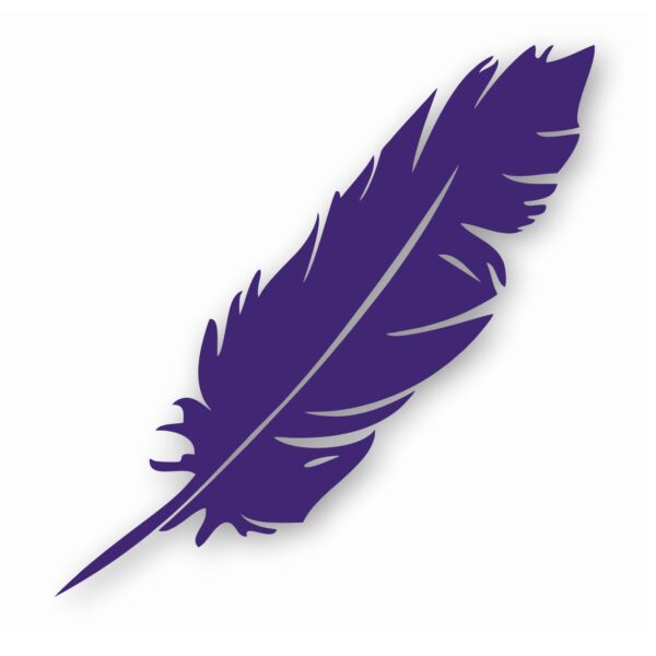 Feather Tribal Nursery Baby Bird - Vinyl Decal Sticker - CHOOSE Size & Color
