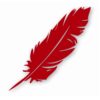 Feather Tribal Nursery Baby Bird - Vinyl Decal Sticker - CHOOSE Size & Color