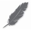 Feather Tribal Nursery Baby Bird - Vinyl Decal Sticker - CHOOSE Size & Color