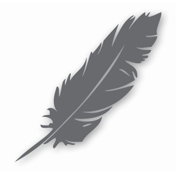 Feather Tribal Nursery Baby Bird - Vinyl Decal Sticker - CHOOSE Size & Color